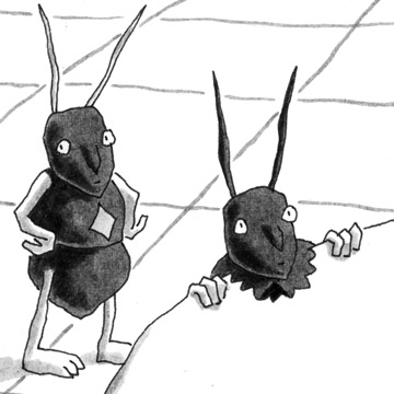 Les fourmis
