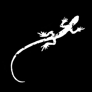 le-lezard-noir